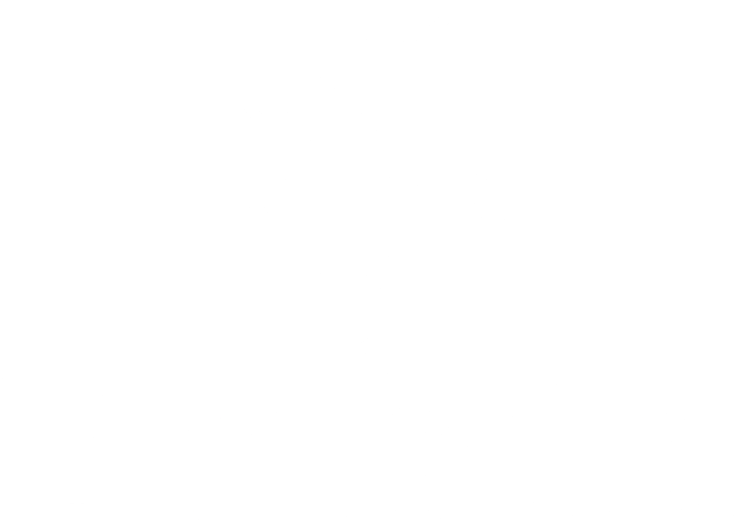 Emirates brand logo